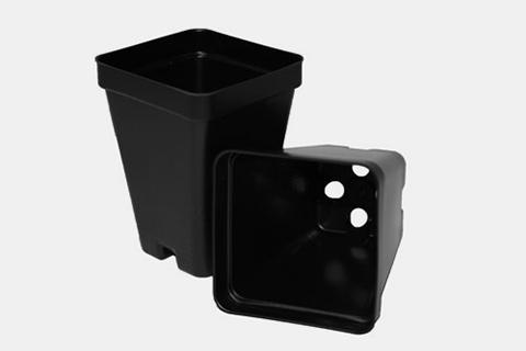 小物 SRL SQUARE-S/CE-POT 700003C - 2.5-Inch Square Deep Pots | T.O. Plastics